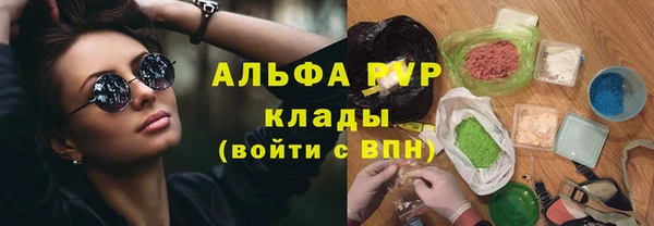 СК Зеленокумск