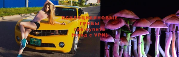 не бодяженный Зеленодольск