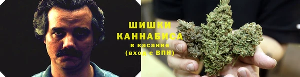 СК Зеленокумск