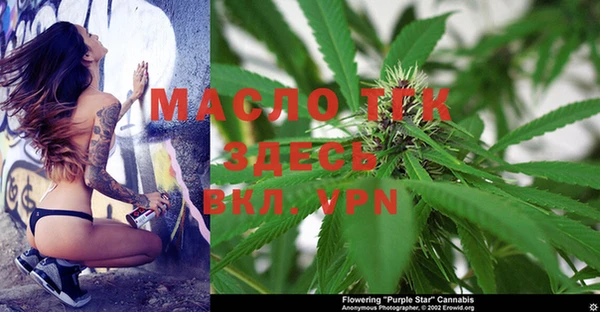СК Зеленокумск