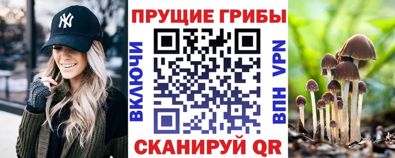 Псилоцибиновые грибы ЛСД  Купить  Наро-Фоминск 